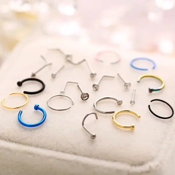 22-Piece Set Fake Nose Ring/Earrings Fashion - Image 3